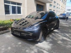 Tesla Model Y Rear-Wheel Drive - ფოტო 2