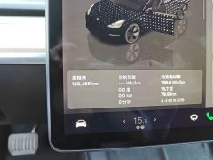 Tesla Model 3 Rear-Wheel Drive - ფოტო 12