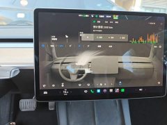 Tesla Model 3 Rear-Wheel Drive - ფოტო 13