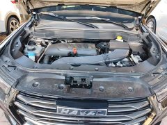Haval H6 National Trend 1.5GDIT Automatic Champion Edition - ფოტო 20