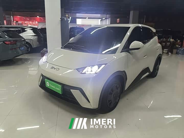 BYD Seagull 305km Vitality Edition
