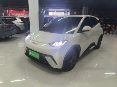 BYD Seagull 2025 305km Vitality Edition - ფოტო 1