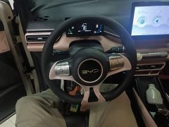 BYD Seagull 2025 305km Vitality Edition - ფოტო 11