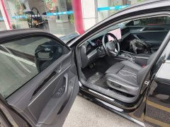 Volkswagen Magotan 380TSI DSG Premium Edition - ფოტო 16