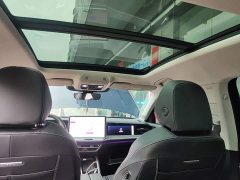 Volkswagen Magotan 380TSI DSG Premium Edition - ფოტო 18
