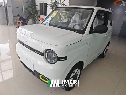 2026 Geely Panda 2025 Panda Mini 210km Vitality Edition - ავტომობილი ჩინეთიდან