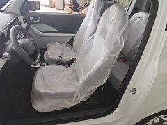 Geely Panda 2025 Panda Mini 210km Vitality Edition - ფოტო 15