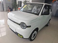 Geely Panda 2025 Panda Mini 210km Vitality Edition - ფოტო 2