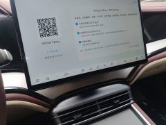 BYD Dolphin 07 DM-i 2026 DM-i 1.5T 230km Flagship - ფოტო 13