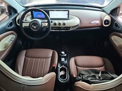 Wuling Binguo 2023 333km Joy Edition - ფოტო 10