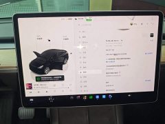 Tesla Model Y Long Range All-Wheel Drive - ფოტო 12