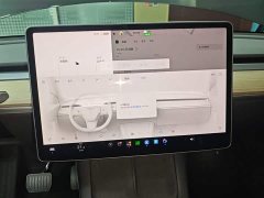 Tesla Model Y Long Range All-Wheel Drive - ფოტო 13
