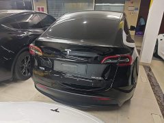 Tesla Model Y Long Range All-Wheel Drive - ფოტო 6