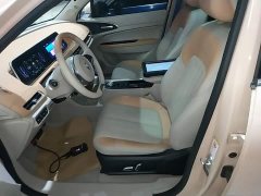 ORA Good Cat 2022 Morandi Edition 400km Standard Range Luxury Trim Ternary Lithium Battery - ფოტო 15