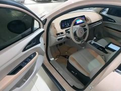 ORA Good Cat 2022 Morandi Edition 400km Standard Range Luxury Trim Ternary Lithium Battery - ფოტო 16