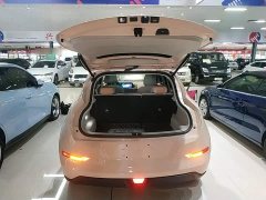 ORA Good Cat 2022 Morandi Edition 400km Standard Range Luxury Trim Ternary Lithium Battery - ფოტო 19