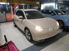 ORA Good Cat 2022 Morandi Edition 400km Standard Range Luxury Trim Ternary Lithium Battery - ფოტო 4