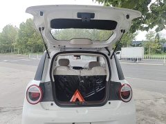 Changan Lumin Treasure Edition 205km Cool Love White CATL - ფოტო 18