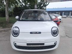 Changan Lumin Treasure Edition 205km Cool Love White CATL - ფოტო 3