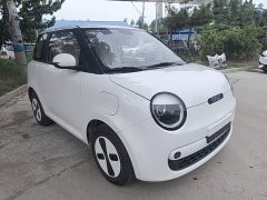 Changan Lumin Treasure Edition 205km Cool Love White CATL - ფოტო 4