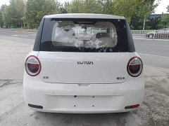 Changan Lumin Treasure Edition 205km Cool Love White CATL - ფოტო 6