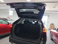 Toyota Wildland 2.0L CVT FWD Luxury Plus - ფოტო 19