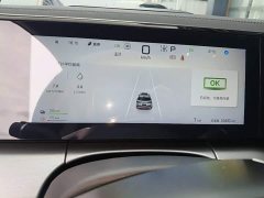 BYD Song L DM-i 160km Exceed - ფოტო 12