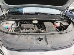 BYD Song L DM-i 160km Exceed - ფოტო 20