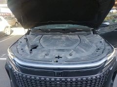 AITO Yuan Plus EV 1.5L DE-i 110KM Flagship 5-Seater - ფოტო 20