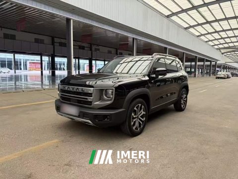 2024 Great Wall Dachshund 1.5T DCT Labrador Edition - ავტომობილი ჩინეთიდან