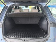 BYD Song Pro New Energy 2023 Champion Edition DM-i 71KM Exceed - ფოტო 19