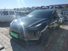 Tesla Model Y Standard Range RWD - ფოტო 2