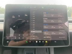 Tesla Model 3 2022 Rear-Wheel Drive - ფოტო 12
