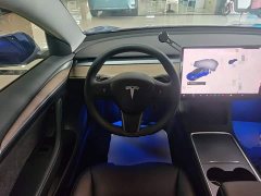 Tesla Model 3 Performance All-Wheel Drive - ფოტო 11