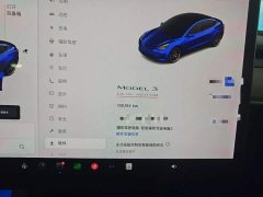 Tesla Model 3 Performance All-Wheel Drive - ფოტო 12
