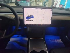 Tesla Model 3 Performance All-Wheel Drive - ფოტო 13