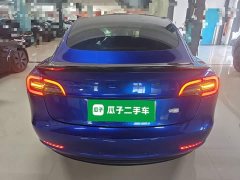 Tesla Model 3 Performance All-Wheel Drive - ფოტო 6