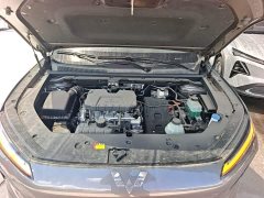 Wuling Starlight S 2024 130km Flagship - ფოტო 20