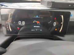 Kingkong Cannon Jingang Pao 2.0T Automatic 8AT Gasoline 4WD Elite Flat-bed - ფოტო 9
