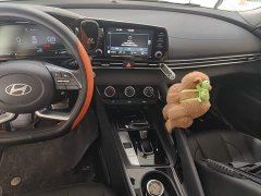 Hyundai Elantra 2023 1.5L CVT GLX Elite - ფოტო 10