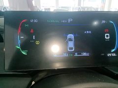 BYD Qin PLUS Champion Edition DM-i 55KM Leading - ფოტო 8
