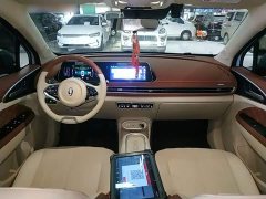 ORA Good Cat 2023 401km Standard Range Luxury LFP - ფოტო 10