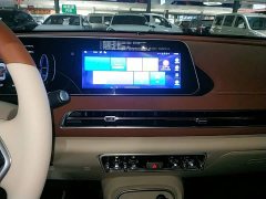 ORA Good Cat 2023 401km Standard Range Luxury LFP - ფოტო 13