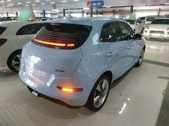 ORA Good Cat 2023 401km Standard Range Luxury LFP - ფოტო 7