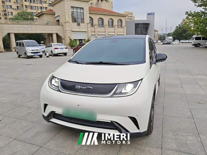 BYD Dolphin 420km Fashion Edition - ავტომობილი ჩინეთიდან