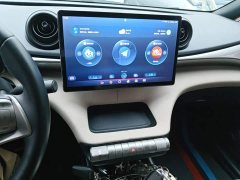 BYD Dolphin 420km Fashion Edition - ფოტო 13