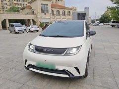 BYD Dolphin 420km Fashion Edition - ფოტო 2