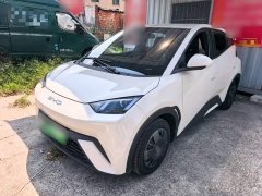 BYD Seagull 2023 Vitality Edition - ფოტო 1