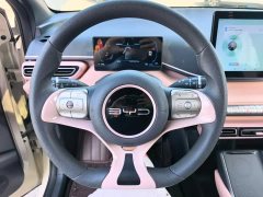 BYD Seagull 2023 Vitality Edition - ფოტო 11