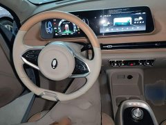ORA Good Cat Morandi Edition 400km Standard Range Luxury Trim LFP - ფოტო 10